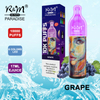 R&M Paradise Europe 2% Salt Nicotine OEM Brand Disposable Vape | Vape vide