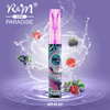R&M Paradise Mini Canada Brand OEM 20mg Sub Ohm Disposable Vape
