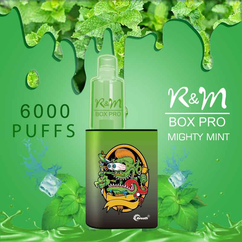 R&M Box Pro Mighty Mint | Flavour des fruits | Fournisseur de vape jetable | Vape Hyde