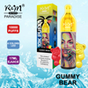 R&M PARADISE Allemagne Rechargble 10000 Puffs Jetable Vape