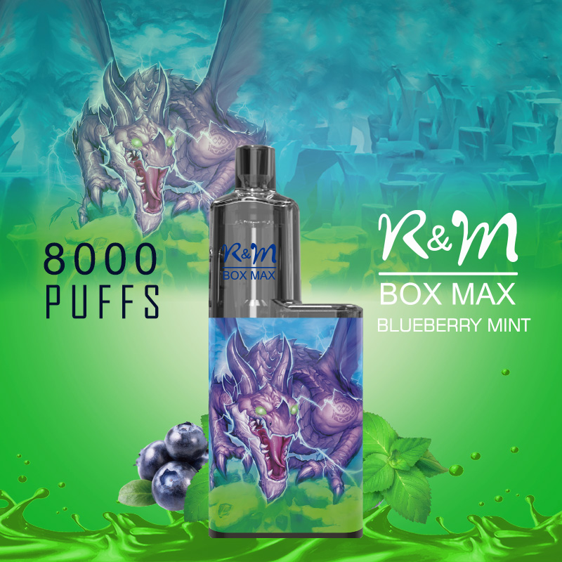 R&M Box MXA Europe Personnalisez Brand Mesh Coil 2% Salt Nicotine Disposable Vape