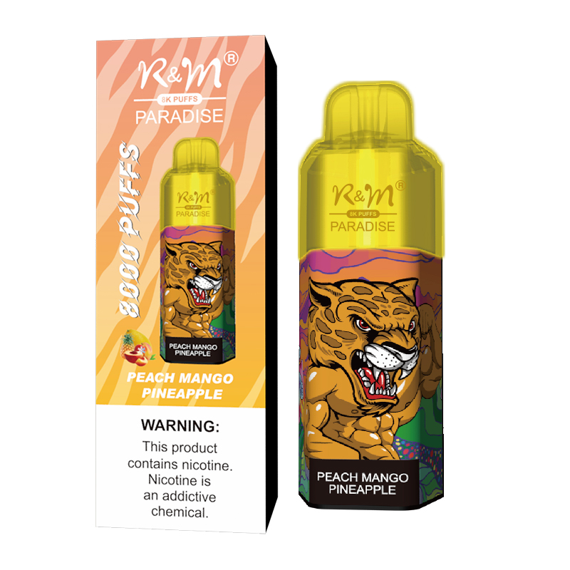Factory d'usine en gros bobine RGB Lumière 2% 5% Salt Nicotine Vape Vape 8K Puffs Randm R&M Paradise