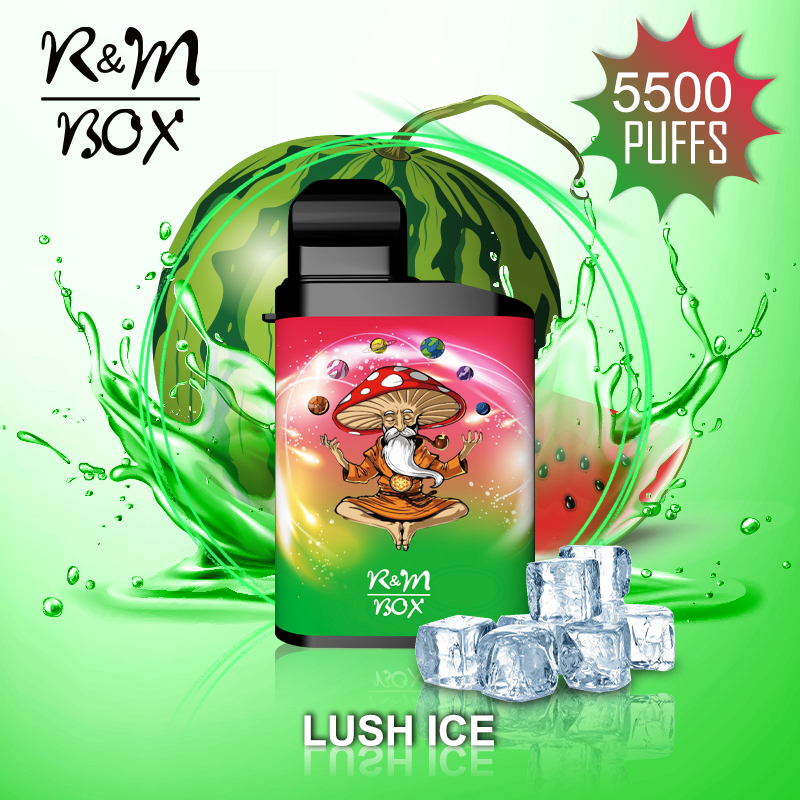 R&M Box Salt Nicotine | Fabricant de vape jetable | Distributeur | grossiste