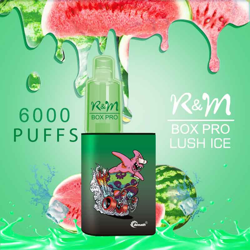 R&M Box Pro 6000 Puffs Disposable Vape Fabricant