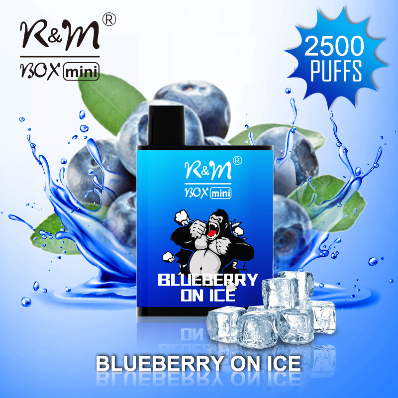 R&M Box Mini Blueberry on Ice | 3% Salt Nicotine Dermable Vape 
