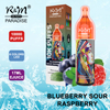 R&M Paradise en stock UK 10000 Puffs Vape