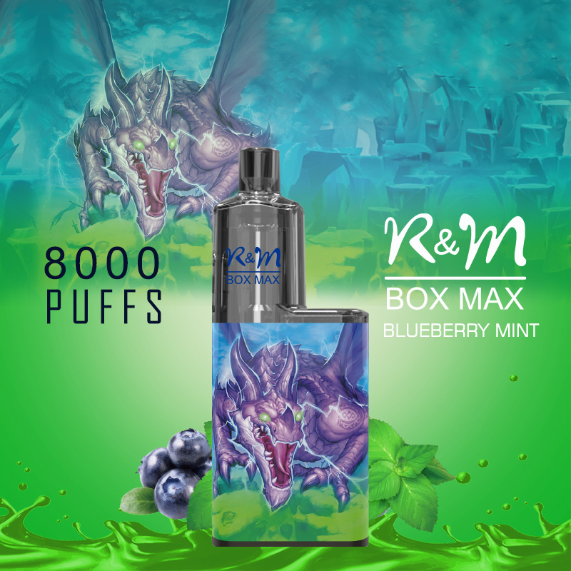 R&M Box Max Allemagne Mesh Coil OEM Brand Salt Nicotine Vape jetable