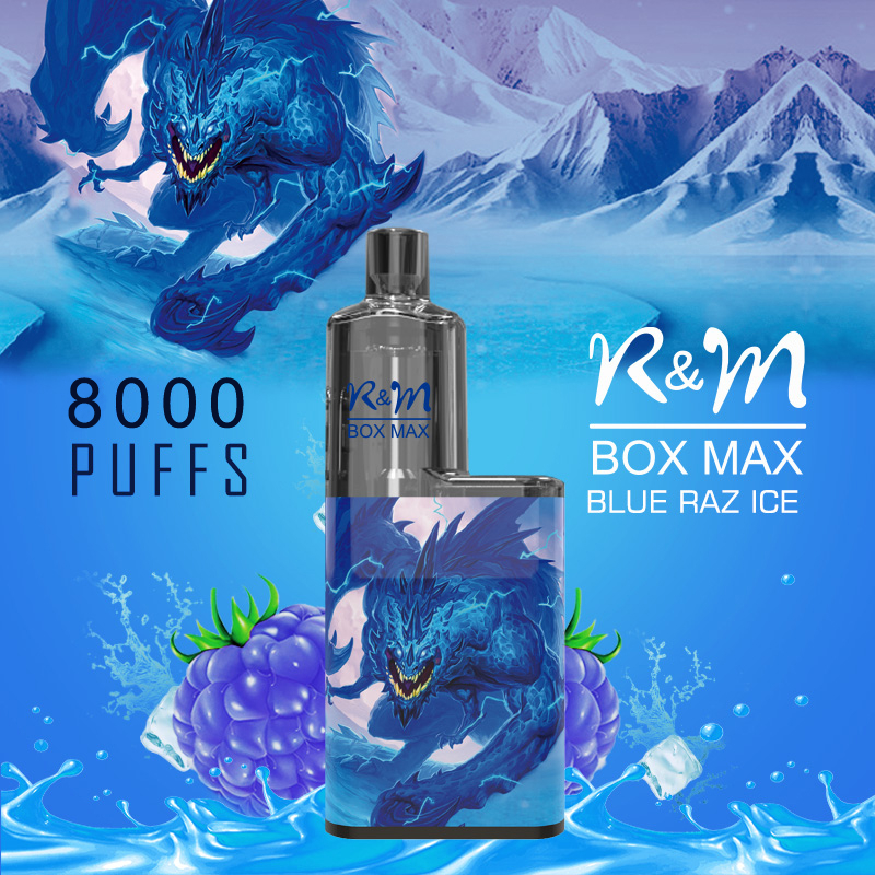 R&M Box Max Allemagne Mesh Coil OEM Brand Salt Nicotine Vape jetable