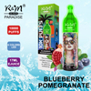 R&M PARADISE Australia 10K Puffs Sub Ohm Vape jetable